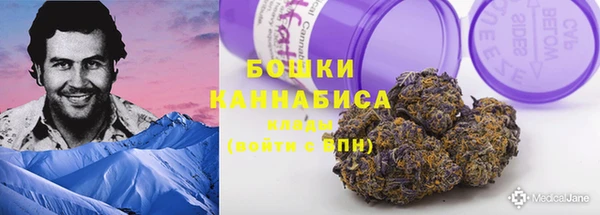 индика Балабаново