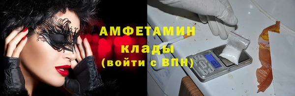индика Балабаново