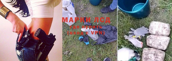 индика Балабаново