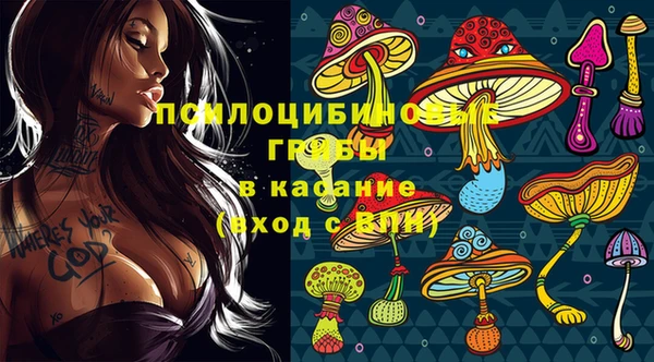 индика Балабаново