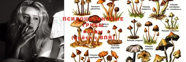 индика Балабаново