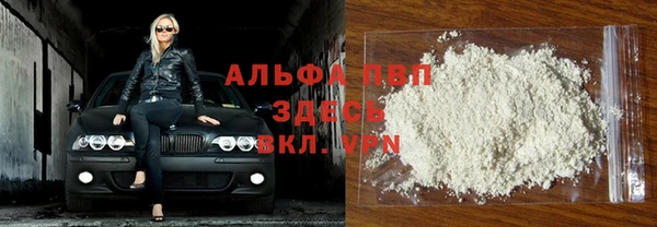 индика Балабаново