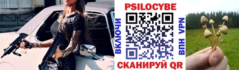 купить цена Кодинск Псилоцибиновые грибы GOLDEN TEACHER